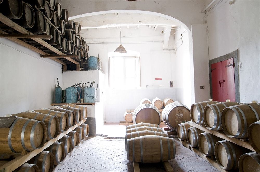 Fattoria Di Bacchereto - Guest House מראה חיצוני תמונה